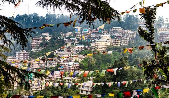 Hotel In McLeod ganj